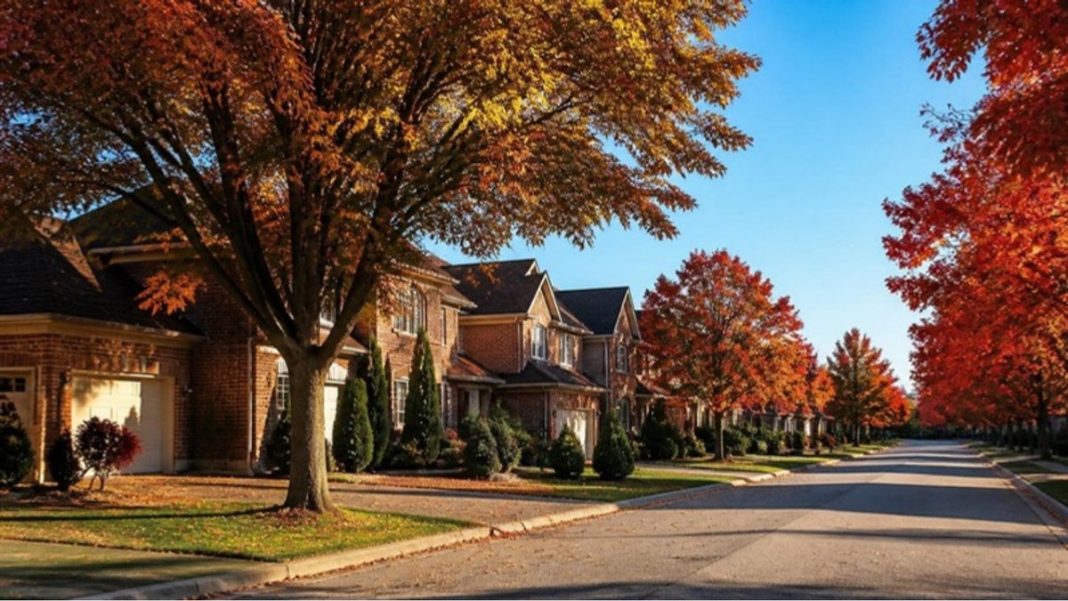 Ontario suburban street of brick homes and maple trees in autumn